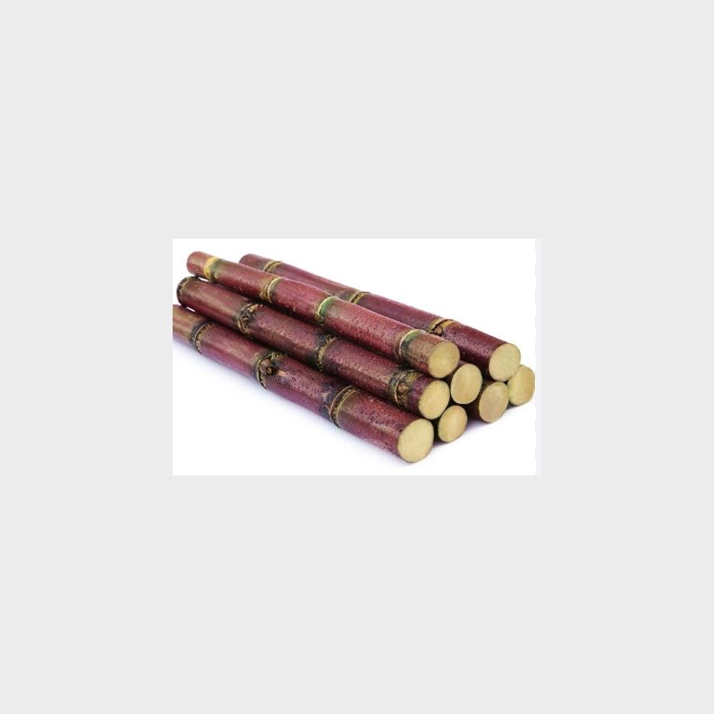 sugar cane 1PC