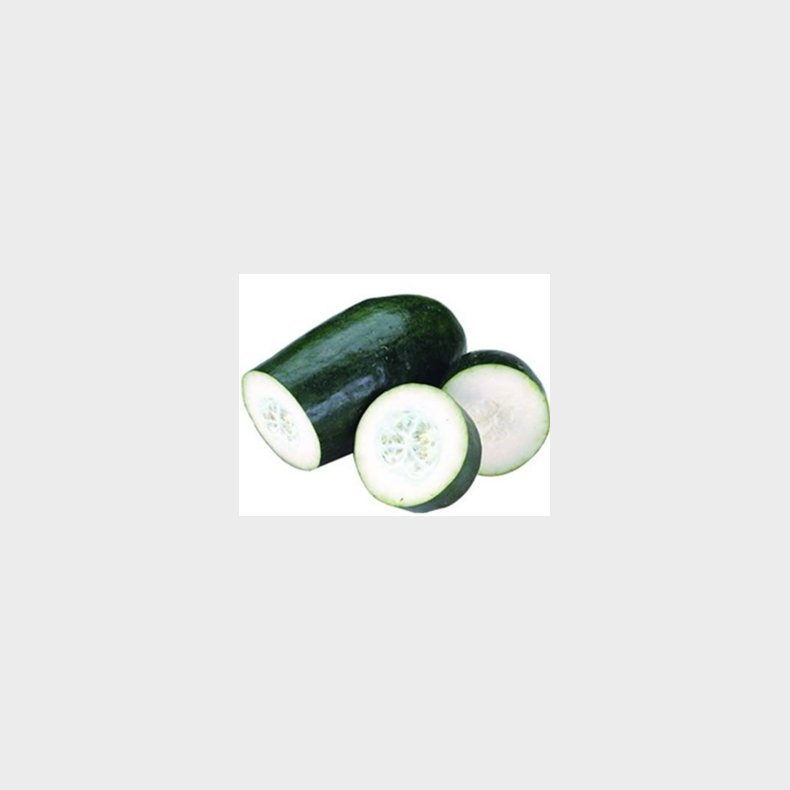 winter melon 