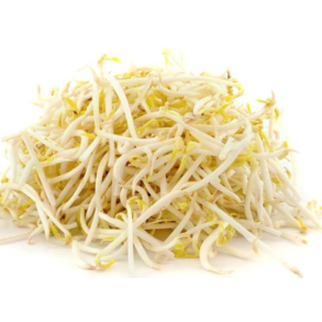 Fresh Bean Sprouts 400G 绿豆芽