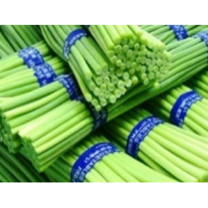 Garlic Sprout( sun sum)