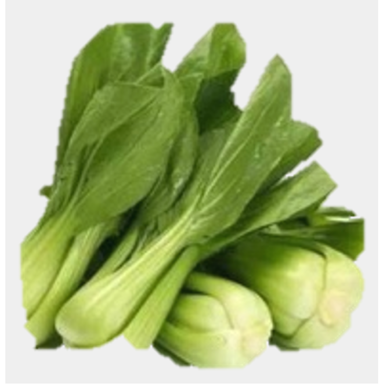 Pak choi(shanghaiqing)