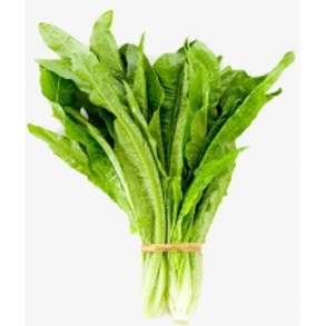 choi sam 1 pak NL 菜心 